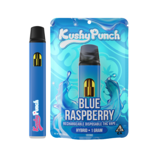blue raspberry kushy punch all in one rechargeable thc vape