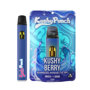 Kush Berry Kushy Punch All In One Rechargeable