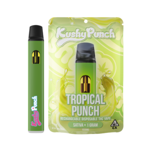 TROPICAL PUNCH KUSHY PUNCH DISPOSABLE