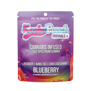 KUSHY PUNCH RECOVER 2:1 BLUEBERRY