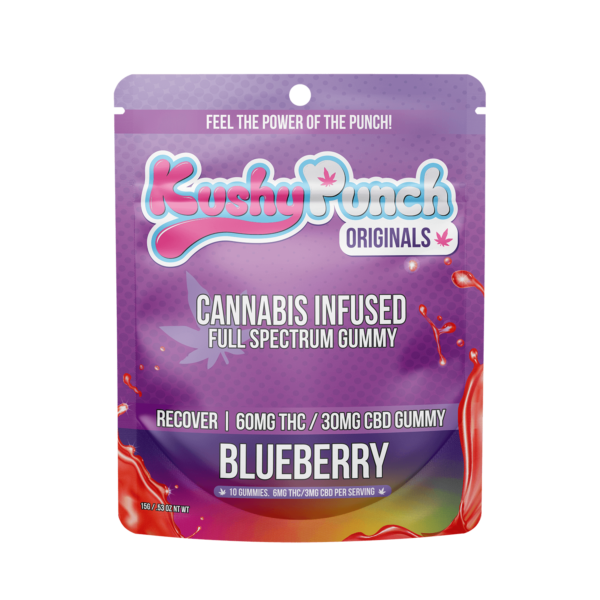 KUSHY PUNCH RECOVER 2:1 BLUEBERRY